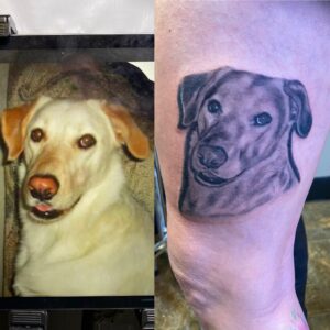 Tattoowrap Tattoo Bandage (2)